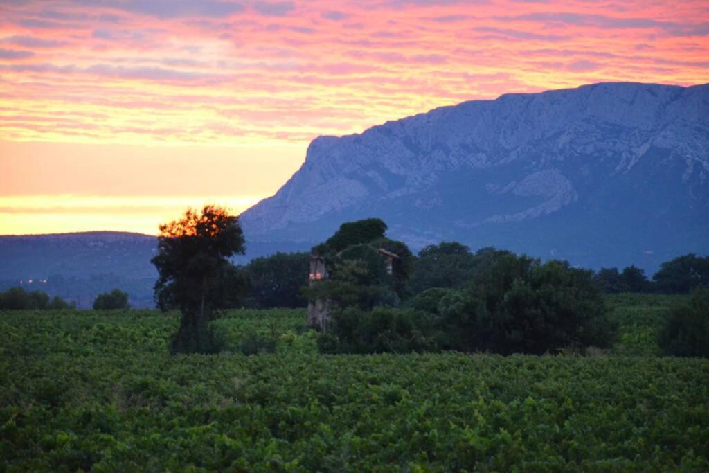 Apartmán Vue Sainte Victoire, Proche Aix-En-Provence Pourrieres Exteriér fotografie